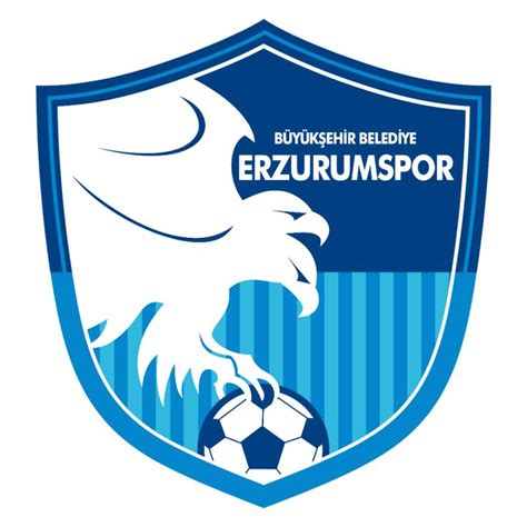 Erzurum spor